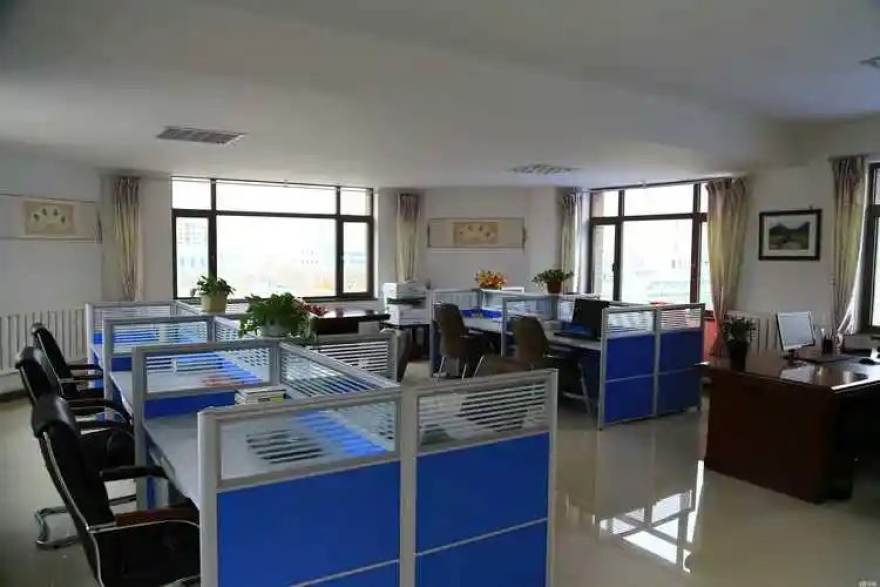 看个球面向校园社团的观赛活动场景