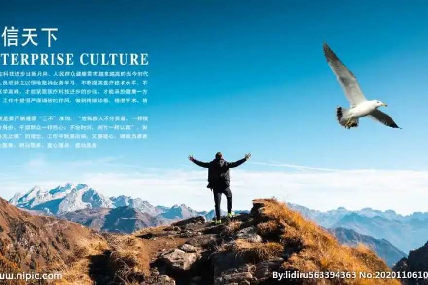 看个球内容与数据团队工作场景